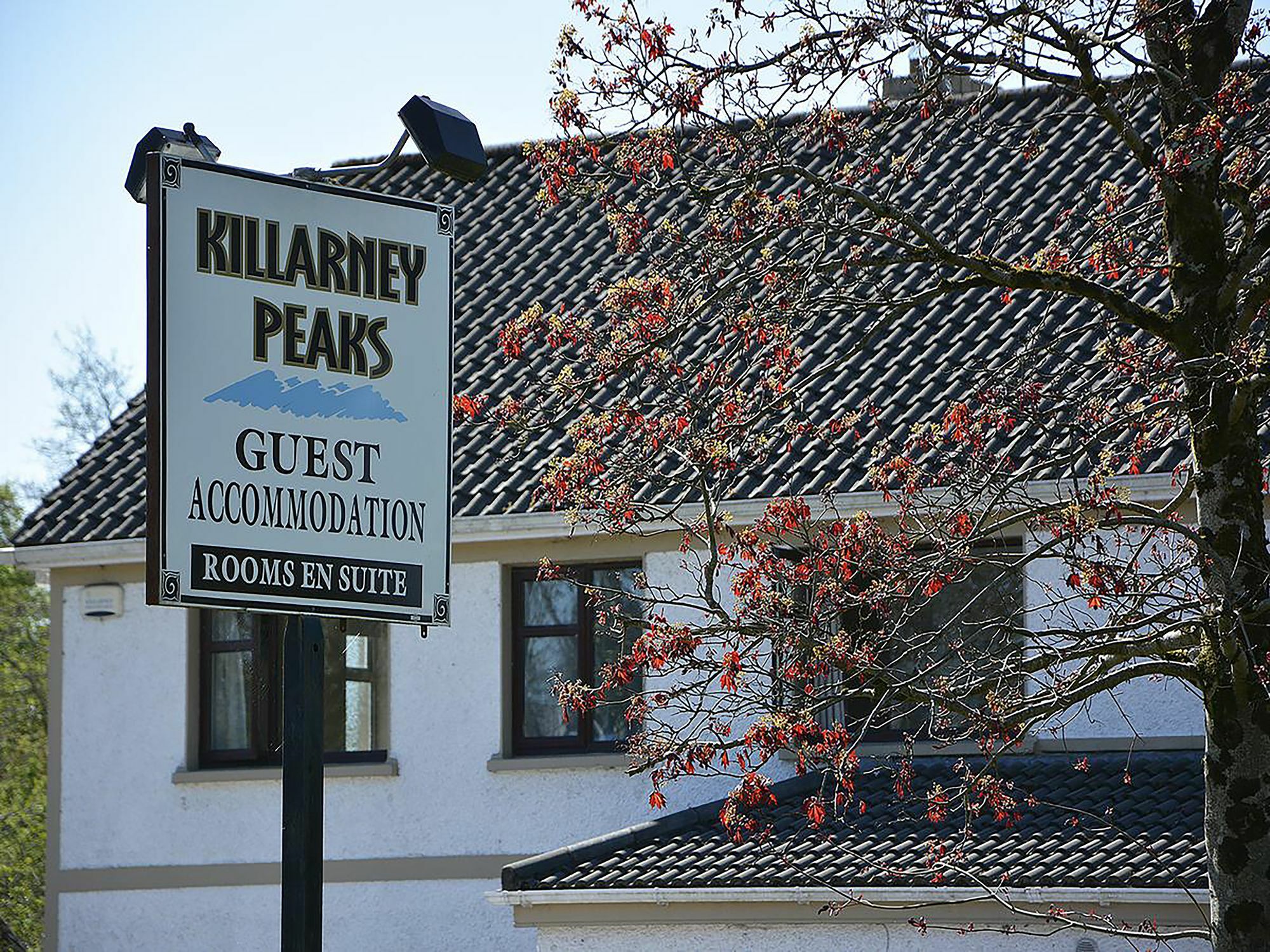 Killarney Peaks Guesthouse Ngoại thất bức ảnh